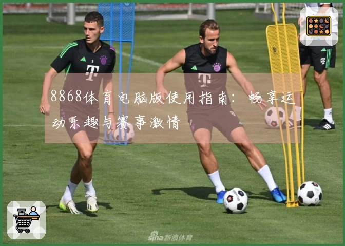 8868体育电脑版使用指南：畅享运动乐趣与赛事激情